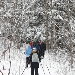 January Snowshoe hikes