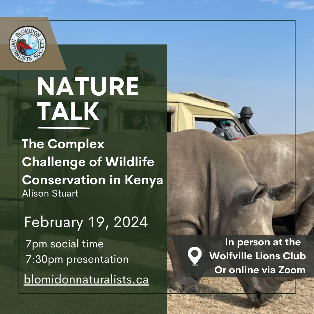 A Jeep with passengers closely observes two rhinos while the accompanying text describes the time and location of the February Nature Talk