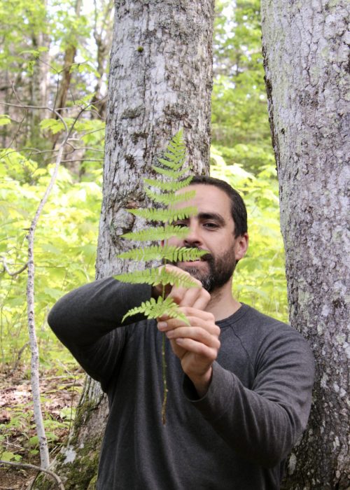 Alain teaches wood fern ID