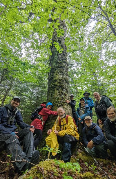 Group photo around mother birch